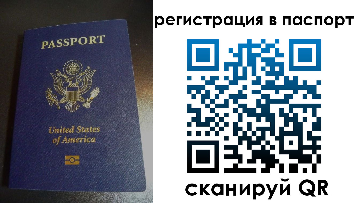 прописка для школы в Жуковке